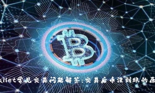 : tpWallet常见交易问题解答：交易后币没到账的原因分析