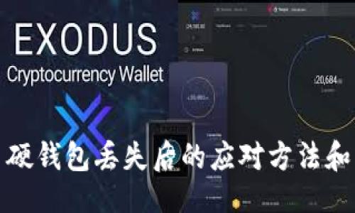题目：

数字货币硬钱包丢失后的应对方法和风险分析