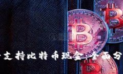 苹果钱包是否支持比特币现金：全面分析与未来