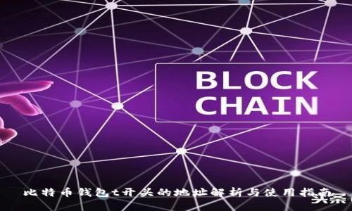 比特币钱包t开头的地址解析与使用指南