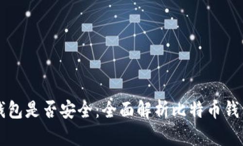 中国禁比特币钱包是否安全：全面解析比特币钱包的风险与防护