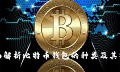 全面解析比特币钱包的种类及其特点