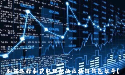 
如何选择和获取理想的区块链钱包靓号？