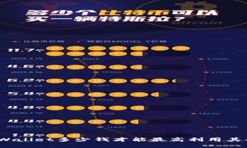 : tpWallet多少钱才能最高利用其功能？