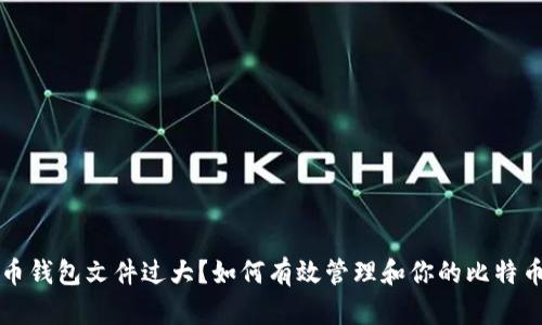 比特币钱包文件过大？如何有效管理和你的比特币钱包